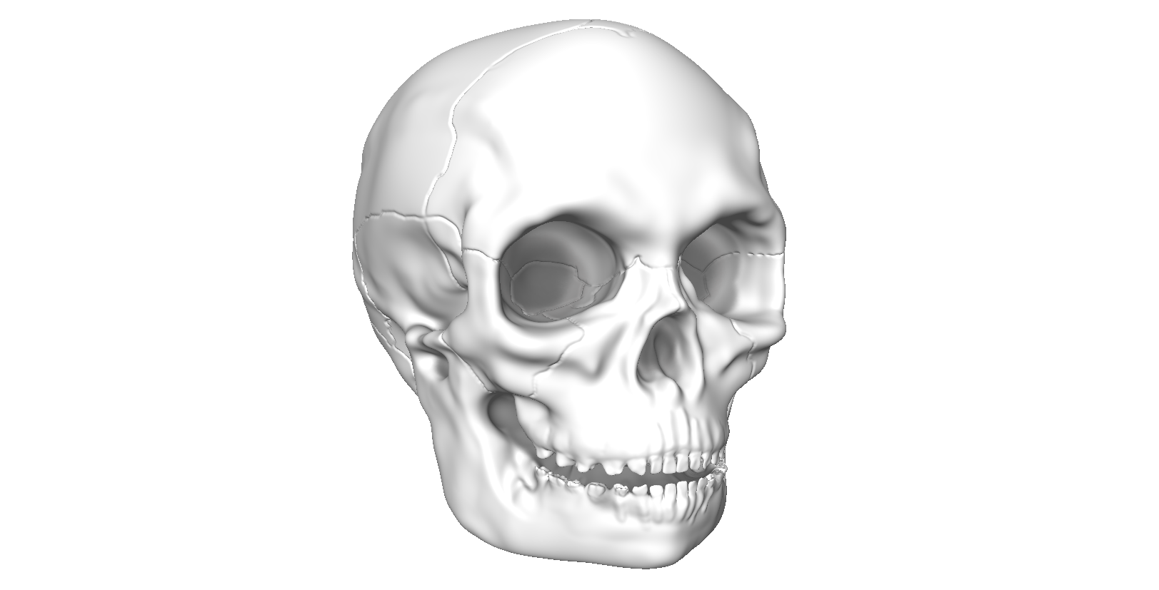 skull